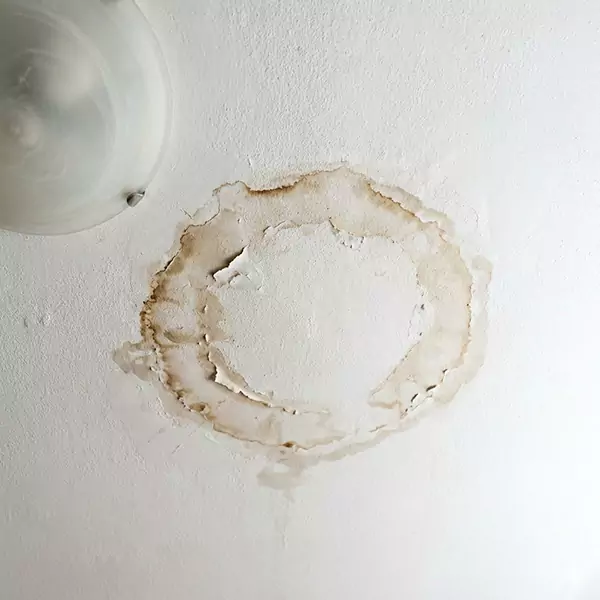 Leaking Ceiling Repair in Raleigh, NC 