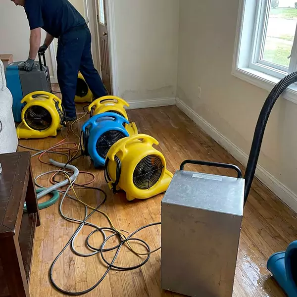 Water Mitigation Services in Raleigh, NC
