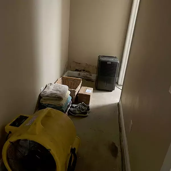 Expert Water Remediation in Raleigh, NC 