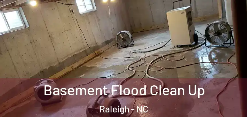  Basement Flood Clean Up Raleigh - NC