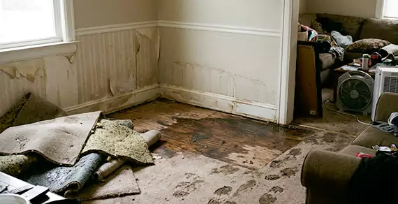 Why Choose Raleigh Water Damage Pro For Water Damage Restoration Services in Raleigh, NC?