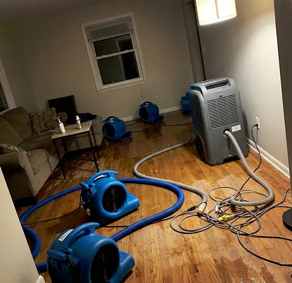 Why Homeowners & Businesses Choose Raleigh Water Damage Pro for Emergency Water Restoration in Raleigh, NC?